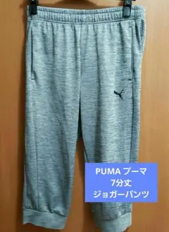PUMA/プーマ ジョガーパンツ(トレーニングパンツ)