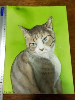 コ*ん様 風景画　猫　アクリル絵画　白猫ちゃんとこよっていこぉ〜♡ 風景画 猫 アクリル絵画 白猫ちゃんとこよっていこぉ〜♡ - メルカリ