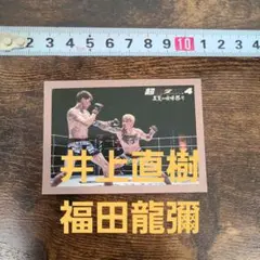 Item thumbnail for item 91af8e7c-c6f6-4c46-a038-c4c33bd46fbb