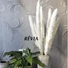 Item thumbnail for item 422b4107-58d7-4b37-97da-e70d4b222051