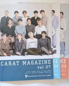 seventeen carat magazine