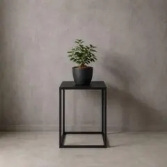 スリム アイアンディスプレイスタンド】 IRON SERIES｜植物｜店舗什器