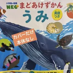 【カバーだけ、本体なし】小学館の図鑑NEO まどあけずかん うみ(英語つき)