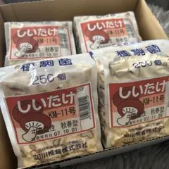 だし本番 かつお風味だし 粉末 500g×20袋 | Mercari