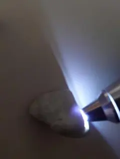 とと様 リクエスト 2点 まとめ商品