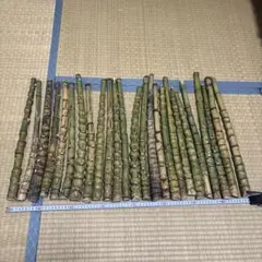 釣り具・その他グリップ用布袋竹「超極太・長尺・芽取り無し」6本セット 釣り具・その他グリップ用布袋竹「中太・長尺・浅く芽取り済み」10本
