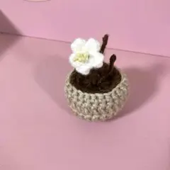 かぎ編み　梅　ミニ　鉢植え　毛糸の花