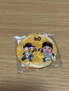 Item thumbnail for item bf9adf6f-4804-416e-81ff-54f41ee3a292