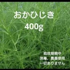 おかひじき 400gのサムネイル