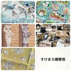 すけまろ様専用