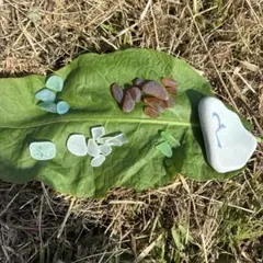 シーグラス セット