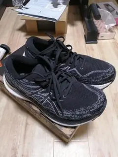 Item thumbnail for item 831c0e50-c9c2-4bc0-a840-31a28530fdc5