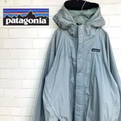 【レアカラー】patagonia ワンポイント刺繍ロゴ入りマウンテンパーカー