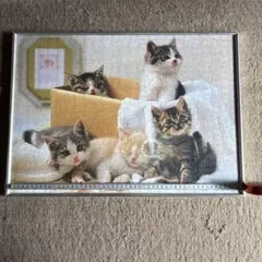 Item thumbnail for item 2c0da4d5-50cf-48c8-b08c-d87c28e0f46b