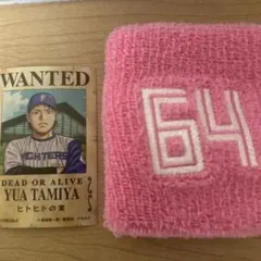 Item thumbnail for item 7f1072f6-163d-450e-ad16-00237ffb084c