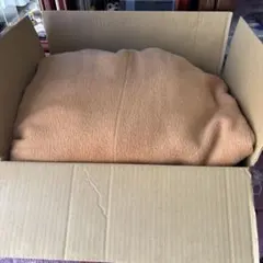 レディース　冬物　10点　まとめ売り　セットアップ　コート有り　スカート　ニット