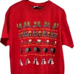 USA製 TEXAS ヴィンテージTシャツ XL 古着 シングルステッチ