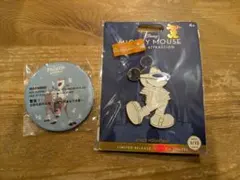 ミッキーマウス アナ雪 ピンバッジ