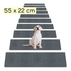 Item thumbnail for item 785586f3-923d-4804-ab1b-40a88b4a1e9d