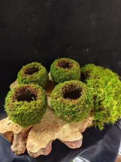 ハニカム苔玉LL用　丸皿2枚セット ハニカム苔玉LL用 丸皿2枚セット | Mercari