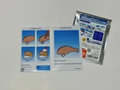 【新品未使用】サンリオキャラクターズ　証明写真風スマロイド　KIRIMIちゃん