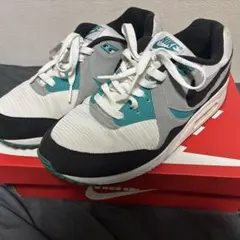 ナイキ　エアマックス1