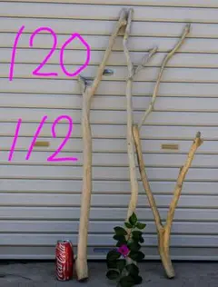 runarukarea様 リクエスト 2点 まとめ商品