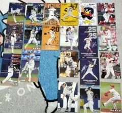 値下げ。プロ野球チップス　セ・リーグ　カード24枚セット