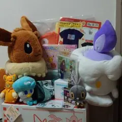 ポケモンセンター ピカピカボックス 2026 未使用品 ぬいぐるみ等