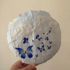 Item thumbnail for item ef49e1ef-f84d-4843-80d0-56b525f7e57d