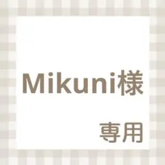 Mikuni様専用⭐︎ネイルチップ/パルパルーザ