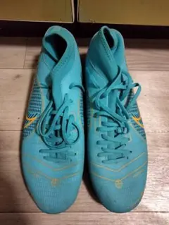 Item thumbnail for item 821bebbf-e203-4a46-bf01-bb7e2c677751