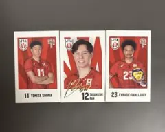 バレーボール男子日本代表　カード3枚セット　高橋藍、富田将馬、エバデダンラリー