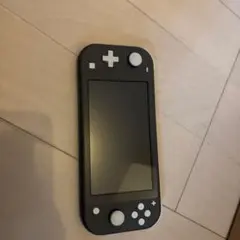 Nintendo Switch Lite グレー 本体 ジャンク品