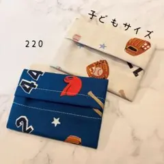 【220】ミニサイズ　ポケットティッシュケース　２個セット