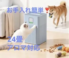 Item thumbnail for item 69ed0b86-a5d2-4f82-a728-ddc3d4270a5f