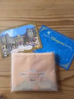 ✨✨東京ディズニーランドホテル エコバッグ ポストカード2枚セット②