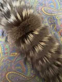 Item thumbnail for item caf78d45-f82c-4728-8448-2d3d8bdda5e4