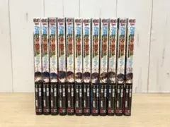 既刊28巻セット】転生賢者の異世界ライフ 1〜28巻 まとめ売り - メルカリ
