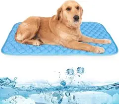 Item thumbnail for item 00ef8c0f-1949-48b2-a9c6-09a5b49f2dcc