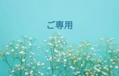 ご専用