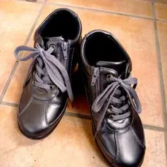 Item thumbnail for item 2092bb0c-dd64-42f6-ab2d-f9113ad4d38b