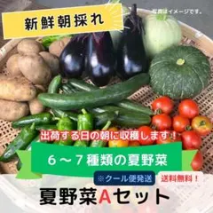 【収穫日朝に収穫！】とれたて夏野菜Ａセット　★クール便発送★（地域限定）のサムネイル