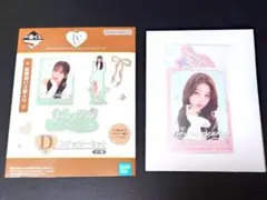 IVE 이치방쿠지 D賞 ウォニョン