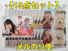 Item thumbnail for item ff41eb91-09f3-4742-af49-1656bffac644