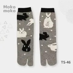 Item thumbnail for item ac863ba0-4949-4e72-890e-449628c0a6fa