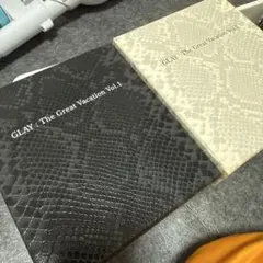 最終価格！GLAY アルバム＆シングル コレクション