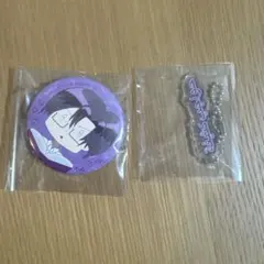 カラフルピーチ　からぴち　もふ　直筆缶バッジ　展示会　テロップキーホルダー