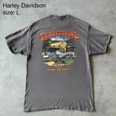 Harley Davidson両面プリントTシャツ Hanes BEEFY T