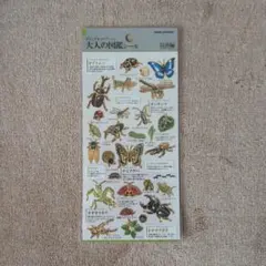 フレデリック＊プロフ必読＊様 リクエスト 2点 まとめ商品